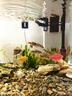 魚出色全光譜魚缸燈防水草缸吊燈水族箱led植物生長燈爆藻燈 增艷智能調(diào)光版黑色30W+支架 曬單實(shí)拍圖