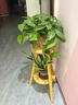 木格格花架置物架陽(yáng)臺花架子客廳落地式移動(dòng)新款多層多肉花盆托架植物角 白色花架【30高】直徑30 曬單實(shí)拍圖
