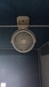 思夕歐宿舍風(fēng)扇床上輕音懸掛小風(fēng)扇學(xué)生宿舍夜燈桌面扇usb充電扇車載嬰兒車可用夾扇大風(fēng)力長(zhǎng)續(xù)航吊扇 米黃色【標(biāo)準(zhǔn)小夜燈款】 曬單實(shí)拍圖