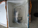 大草魚(yú)苗淡水養殖半斤一斤20厘米活體皖魚(yú)螺螄青魚(yú)苗可食用觀(guān)賞冷水魚(yú)小魚(yú)苗特大草魚(yú)魚(yú)苗批發(fā) 優(yōu)質(zhì)草魚(yú)苗 100條6-8厘米(加10%防損) 曬單實(shí)拍圖