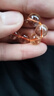 石玥珠寶精品10mm天然黃水晶貔貅手鏈本命年轉(zhuǎn)運(yùn)珠手串男女士款 水晶瑪瑙 曬單實(shí)拍圖