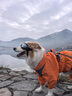MIKI PAD狗狗雨衣中大型犬寵物沖鋒衣狗雨衣金毛邊牧全包四腳防水雨披透氣 落日橘【全包防水】 3XL背長45cm（參考體重26-33斤） 曬單實拍圖