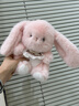捉趣雪莉系列兔子毛絨玩具公仔可愛(ài)猴子布娃娃陪睡玩偶抱女生生日禮物 雪梨系列-兔子 全長(cháng)約20cm 曬單實(shí)拍圖