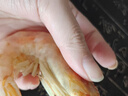 鮮拔頭籌 活蝦炭烤即食大蝦干 海蝦干對蝦 休閑零食即食 海鮮干貨 大號500g(凈重) 120只 曬單實拍圖