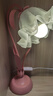 優(yōu)麗美家田園風(fēng)臺燈床頭燈ins少女創(chuàng)意藝術(shù)花朵裝飾燈溫馨浪漫臥室氛圍燈 公主粉【遙控款】遙控器控制 花朵臺燈 曬單實拍圖