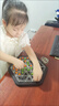 泰利奇連鎖棋三角棋對(duì)戰(zhàn)旗兒童邏輯思維訓(xùn)練專注力幾何玩具桌面游戲 升款大號(hào)【連鎖三角棋】1底座+4 曬單實(shí)拍圖