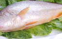品鮮貓 深?；顑龃簏S花魚(yú) 凈重500g/條 海鮮水產(chǎn)大黃魚(yú) 曬單實(shí)拍圖