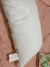 海瀾之家（HLA）全棉枕頭抗菌純棉纖維枕成人家用學(xué)生宿舍整頭護頸記憶枕單人一對 全棉枕- 白色 48*74cm填充800g（一只裝） 曬單實拍圖