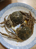 花雕醉蟹 陸龍兄弟醬河蟹 非熟生腌大醉蟹 開蓋即食正宗寧波風(fēng)味 [冷藏/偏咸]嘗鮮款醉蟹600g約3只 曬單實(shí)拍圖