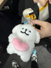 奇純韓國線(xiàn)條小狗愛(ài)心玩偶可愛(ài)公仔軟萌少女馬爾濟斯毛絨掛件掛飾公仔 白色愛(ài)心小狗 曬單實(shí)拍圖