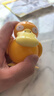 愛豆貓寶精靈可夢球Pokemon神奇數(shù)碼寵物小精靈變形男孩六一兒童節(jié)禮物 可達(dá)鴨【精靈球】 曬單實拍圖