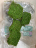 勝畫爬地矮珍珠水草植物魚缸專用造景草坪趴地日本珍珠草制氧陰性水草 【入缸成景】矮珍珠網(wǎng)片裝5大片（約8*8CM 曬單實拍圖