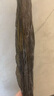 陸龍  干海帶 500g/袋 昆布裙帶菜去頭尾 可切絲切片涼拌煲湯海鮮干貨 曬單實拍圖
