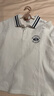 Levi's李維斯polo衫童裝男童短袖t恤2025夏季新款兒童男孩翻領(lǐng)白色 明亮白 130 /64 【建議身高116-122cm】 曬單實(shí)拍圖