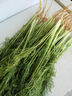 綠食者 新鮮茴香葉500g 茴香苗 餃子餡料茴香菜西餐香料蔬菜 曬單實拍圖