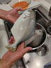 海升東深海金鯧魚(yú)特大 金昌魚(yú)鮮活冷凍 平魚(yú) 生鮮 魚(yú)類(lèi)鯧魚(yú) 海鮮水產(chǎn) 3條【1.6斤左右/條】?jì)糁責o(wú)冰 曬單實(shí)拍圖