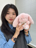捉趣雪莉系列兔子毛絨玩具公仔可愛(ài)猴子布娃娃陪睡玩偶抱女生生日禮物 雪梨系列-兔子 全長(cháng)約20cm 曬單實(shí)拍圖