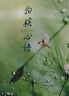 【央視網(wǎng)】物候心語(yǔ)二十四節氣養生節氣食譜 張洪鈞修身養性書(shū)籍家常食材食療健康養生書(shū)中醫節氣養生智慧中醫學(xué)文化大眾指南SS 物候心語(yǔ) 曬單實(shí)拍圖