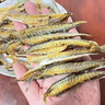 福建東山巴浪魚干淡曬花鳀魚干黃尾小魚干新鮮小咸魚海鮮干貨特產(chǎn) 500g (1斤) 曬單實拍圖