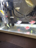 瘋狂水草神仙魚活體七彩燕魚熱帶觀賞魚淡水水族寵物熱帶耐活魚苗小型 精品混養(yǎng)藍魔金鼎+雙色曼龍 曬單實拍圖