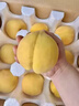 采緹（CAITI）現摘新鮮黃桃水果桃子脆甜黃金蜜桃整箱當季時(shí)令孕婦整箱 試吃一斤裝網(wǎng)套+紙箱 中果 150g/單果 曬單實(shí)拍圖
