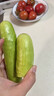 感光之水順豐海陽(yáng)白玉黃瓜 新鮮當季蔬菜山東牛奶水果黃瓜現摘玉女旱青瓜 凈重 3斤 嘗鮮裝順豐包郵 曬單實(shí)拍圖