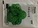 山東壽光蔬菜種子大全香菜菜種青菜番茄菠菜西瓜小蔥生菜菜籽 大葉木耳菜種子100粒 曬單實(shí)拍圖
