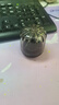 諾百紛 磁彈杯茶倉配件 三、四*代 黑色小茶倉玻璃罐套裝 曬單實(shí)拍圖
