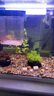 森森（SUNSUN）魚缸HR原廠標配水泵led燈HE水泵配件 HR-380標配led燈 曬單實拍圖