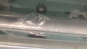 新界切割泵污水提WQ升泵污水潛水泵化糞池抽糞排污泵潛污泵 80WQ4QG(380V）切割款 曬單實(shí)拍圖