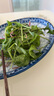 聽(tīng)蔬 有機(jī)苦苣 苦菊 涼拌沙拉食材匯 有機(jī)認(rèn)證蔬菜無(wú)農(nóng)殘健康輕食 500g 曬單實(shí)拍圖