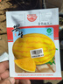 育禾農黃皮黃瓤小西瓜種子黃肉水果籽早熟 金色麗人黃皮黃瓤西瓜籽100粒 曬單實(shí)拍圖