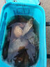 云飛魚日本高端碳氟線正品路亞前導(dǎo)線釣魚線耐磨主線柔軟子線套裝尼龍線 120米碳氟線單卷【透明色】 2.5號 曬單實拍圖