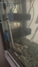 森森魚(yú)缸三合一過(guò)濾器缸內循環(huán)過(guò)濾泵多功能潛水泵 23W +替換棉 適合100CM魚(yú)缸 曬單實(shí)拍圖