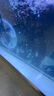 森森（SUNSUN）大型魚缸底過(guò)濾水族箱客廳家用落地玻璃生態(tài)金魚缸 【實(shí)時(shí)溫顯+燈控】寶馬灰 1.5米長(zhǎng)35cm寬 曬單實(shí)拍圖