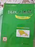挑戰(zhàn)壓軸題·九年級數(shù)學(xué) 曬單實(shí)拍圖