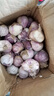 熱寶果蔬（REBAO FRUITS& VEGETABLES）紫皮大當(dāng)季三瓣蒜晾曬干三丫蒜農(nóng)家自種紅皮三瓣蒜蔬菜整箱 3斤 大果-【3.0-3.4cm】 曬單實(shí)拍圖