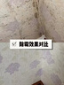 嘟可親墻布除霉劑墻紙去霉斑壁紙墻面霉斑發(fā)霉專(zhuān)用清潔劑壁布去霉清除劑 500ml 1瓶 【標準版】墻布除霉專(zhuān)用 曬單實(shí)拍圖