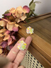 束芬女士耳釘2025年新款多巴胺彩色串珠花朵耳環(huán)高級(jí)感甜美風(fēng)耳飾百搭 E4008彩色花朵耳釘 曬單實(shí)拍圖