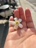 澳比特機(jī)床導(dǎo)軌油68號(hào)機(jī)床磨床CNC數(shù)控導(dǎo)軌油46#電梯導(dǎo)軌油 32#機(jī)械潤滑油 大桶 18L 68號(hào)機(jī)床導(dǎo)軌油3.5升2.7公斤 曬單實(shí)拍圖