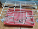 威畢兔籠兔子籠子防濺防噴尿荷蘭豬用品特大號專(zhuān)用花枝鼠室內寵物別墅 粉色【店長(cháng)推薦】大號【基礎套餐 曬單實(shí)拍圖