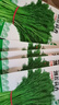 【當季新種】割茬茴香種子多次采收小茴香種子四季陽臺蔬菜種子 割在茴香種子 買三包送二包約5000粒 曬單實拍圖