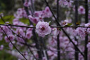 艾博森（i-boxine） uv鏡 鏡頭濾鏡套裝保護(hù)鏡星光鏡 CPL偏振鏡 減光鏡 微距鏡 柔光鏡 漸變鏡 高端濾鏡 相機(jī)UV鏡 六款攝影師高端濾鏡套裝 （專業(yè)攝影師必備)  40.5mm 曬單實(shí)拍圖