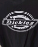dickies純棉短袖T恤男  夏季圓領(lǐng)休閑簡(jiǎn)約基本款百搭上衣 11799 黑色 L 曬單實(shí)拍圖