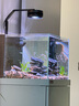 德克（D&A）小型方缸客廳立式生態(tài)魚(yú)缸一體缸自循環(huán)免換水辦公室底濾缸水族箱 庫里藍（筒燈款） 長(cháng)50cm寬50cm高120cm 曬單實(shí)拍圖