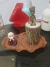 幕籬【新品巴西木】巴西木帶芽格魯加樹(shù)人開(kāi)花水培養室內好養懶人 混色巴西木+樹(shù)人+小和尚+荷葉盆 曬單實(shí)拍圖