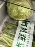 聽蔬有機(jī)綠甘藍(lán)1斤 圓白菜洋卷心菜 有機(jī)認(rèn)證蔬菜無農(nóng)殘?jiān)欣嫌咨r菜 1斤左右 曬單實(shí)拍圖