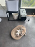 華夫格小熊背心小狗狗寵物衣服薄款夏裝泰迪比熊中小型犬秋天春款 貓咪衣服-乳白色 L碼 曬單實(shí)拍圖