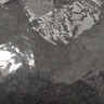 棉致春秋季新款鯊魚(yú)褲打底褲女外穿不起球提臀緊身高 春秋款 深灰+淺灰 均碼 【115-155斤穿】 曬單實(shí)拍圖