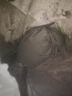 三棵樹(shù)漆（SKSHU）水性地坪漆 耐磨車間水泥地面改色漆室內(nèi)外家用地板改造油漆 淺灰色（啞光）-10kg 曬單實(shí)拍圖